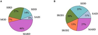 Novel Reclassification of Adult Diabetes Is Useful to Distinguish Stages of β-Cell Function Linked to the Risk of Vascular Complications: The DOLCE Study From Northern Ukraine